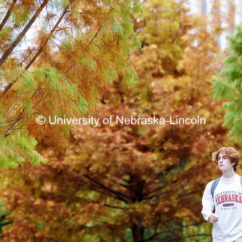 A student walks towards Love Library. On campus. November 4, 2024. Photo by Jordan Opp / University Communication and Marketing.