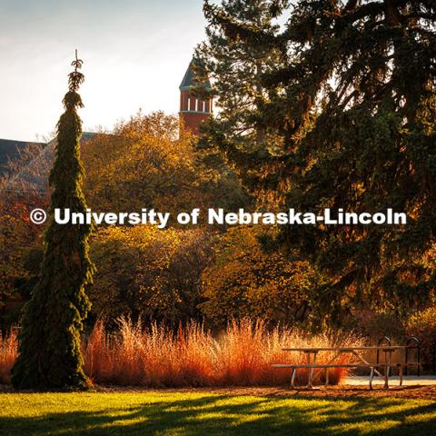 Fall Scenery on city campus. Architecture Hall. November 8, 2024. Photo by Kristen Labadie / University Communication.