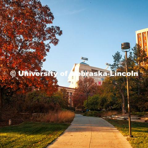 Fall Scenery on City Campus. Memorial Stadium and Oldfather Hall. November 8, 2024. Photo by Kristen Labadie / University Communication.