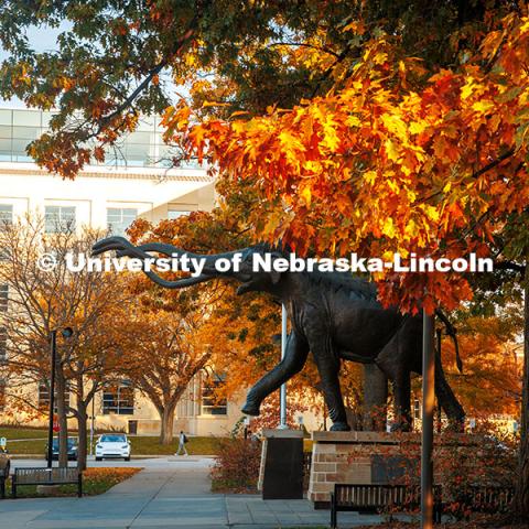 Fall Scenery on City Campus. The Archie Statue and the College of Business. November 8, 2024. Photo by Kristen Labadie / University Communication.