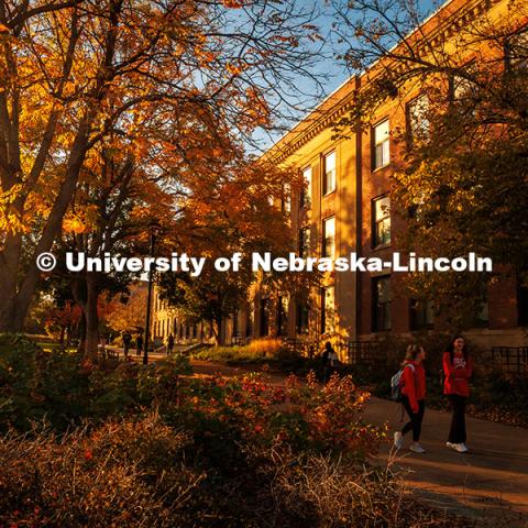 Fall Scenery on City Campus. Bessey Hall. November 8, 2024. Photo by Kristen Labadie / University Communication.