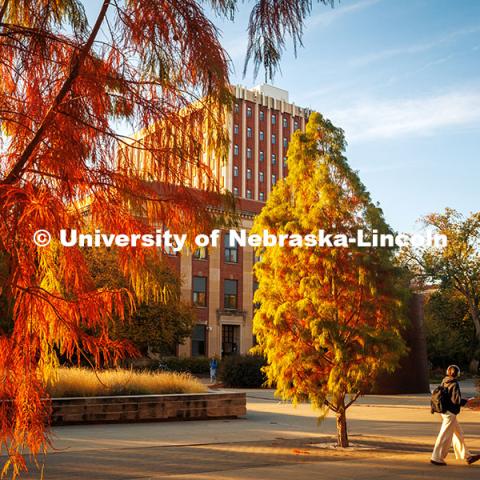 Fall Scenery on city campus. Oldfather Hall November 8, 2024. Photo by Kristen Labadie / University Communication.