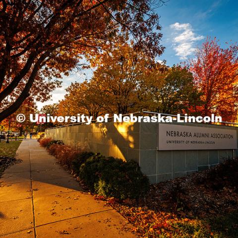 Fall Scenery on City Campus. Nebraska Alumni Association. November 8, 2024. Photo by Kristen Labadie / University Communication.