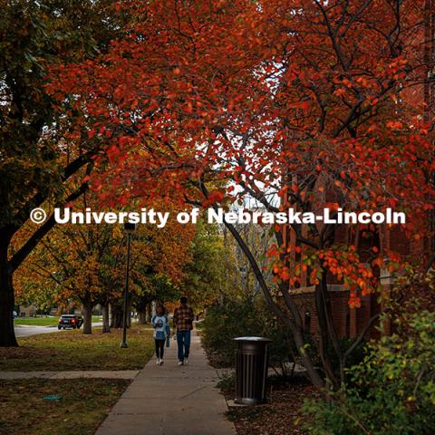 Fall Scenery on East Campus. The Agricultural Communications Building. November 8, 2024. Photo by Kristen Labadie / University Communication.