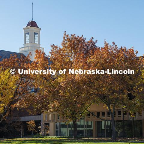 Trees displaying their fall colors surround Love Library. Fall on City Campus. November 12, 2024. Photo by Jordan Opp / University Communication and Marketing.