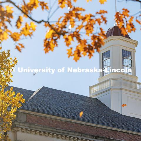 Trees displaying their fall colors frame the cupola of Love Library. November 12, 2024. Photo by Jordan Opp / University Communication and Marketing.