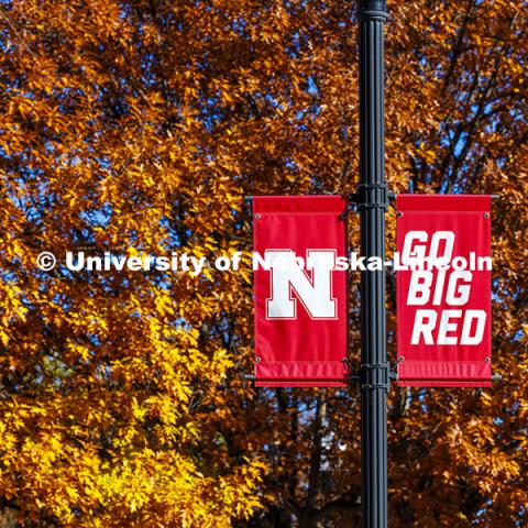 Go Big Red banners against a glowing fall backdrop. Fall on City Campus. November 15, 2024. Photo by Craig Chandler / University Communication.