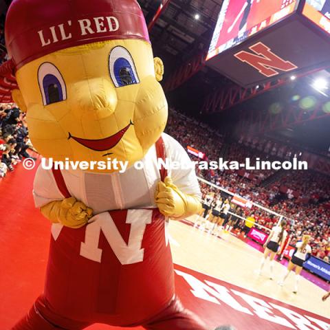 Lil’ Red at the UNL Volleyball game. Nebraska vs. Minnesota volleyball game. November 14, 2024. Photo by Kristen Labadie / University Communication.